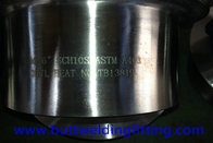 ANSI B16.9 ASME A403 317L 6'' SCH10S Stub Ends Butt Weld Fittings Stainless Steel