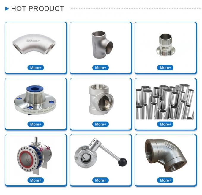 ASME B36.19 S32205 ένωσε στενά το χωρίς συγκόλληση διπλό σωλήνα χάλυβα 2