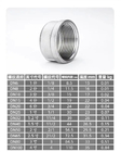 female BSP malleable cast iron stainless steel pipe fitting ss 304 316L round pipe cap bsp npt bspt