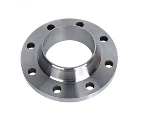DN20 DN50 Corrosion Resistance Forged Steel Flanges ANSI B16.5